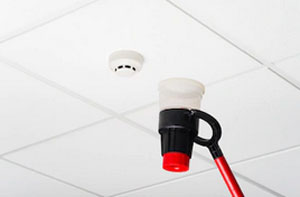 Fire Safety Systems Girvan (Dialling code	01465)